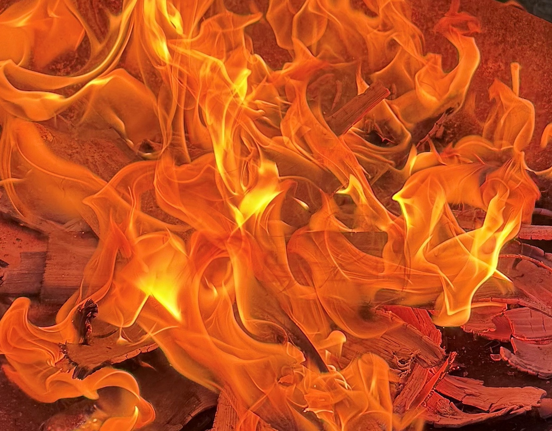 Feuer in einer Feuerschale