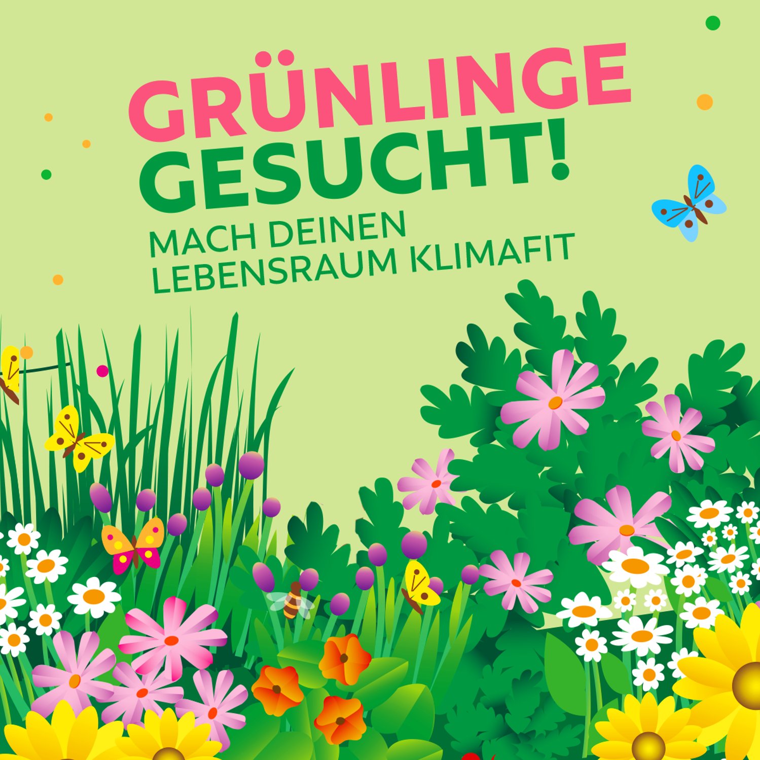 Grünlinge Gesucht! Dekoratives Bild zum Klimaquartier