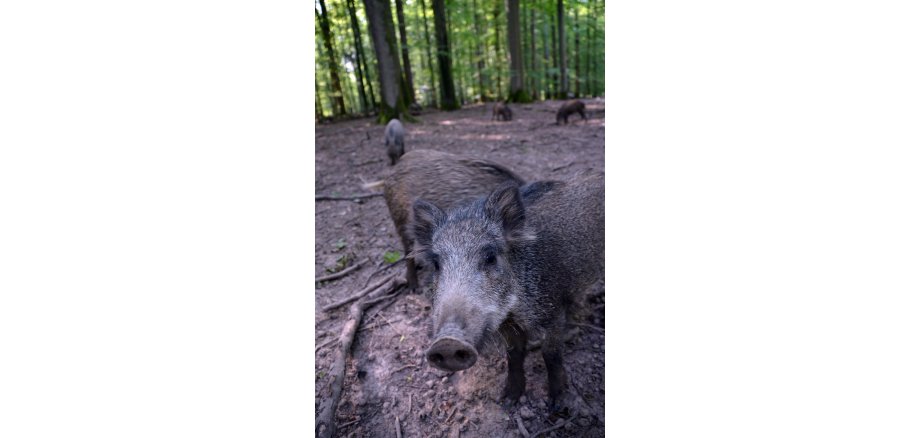 Symbolfoto / Foto: Stephan Schienbein/Landkreis Marburg-Biedenkopf